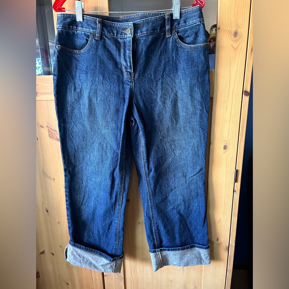 Ann Taylor LOFT denim jeans Size 10P